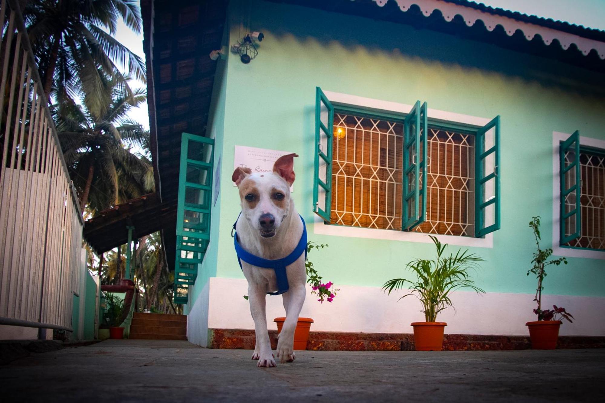 The Bungalow Bogmalo An 1880 Indo Portuguese Heritage Beach Villa South Goa Экстерьер фото