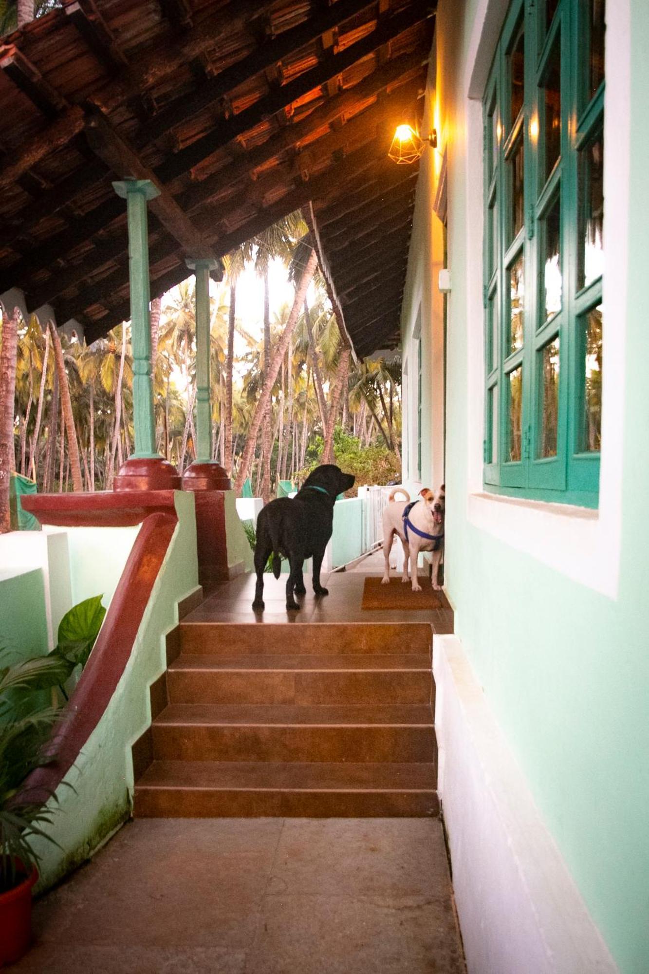 The Bungalow Bogmalo An 1880 Indo Portuguese Heritage Beach Villa South Goa Экстерьер фото